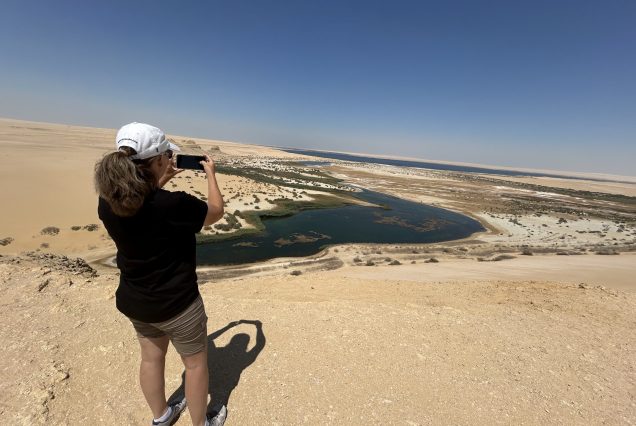 Fayoum day tour Wadi al-Hitan ( Whales Valley )-Wadi Elrayan and More Gems