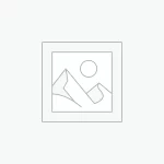 Uncategorized